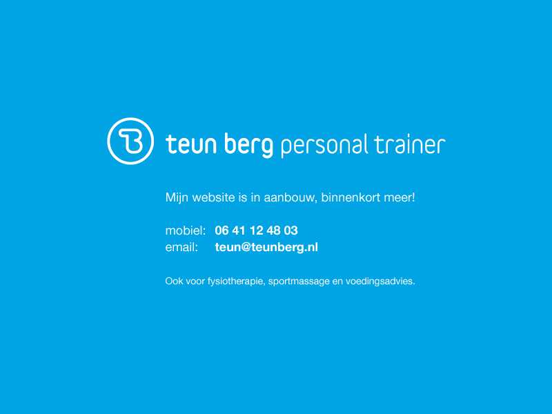 Tijdelijke website teunberg.nl